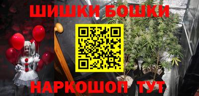 индика Кулебаки