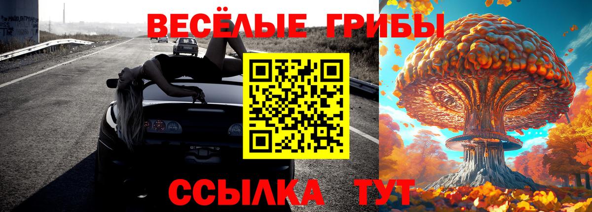 Галлюциногенные грибы Psilocybe  Вход с VPN  Южно-Сахалинск 